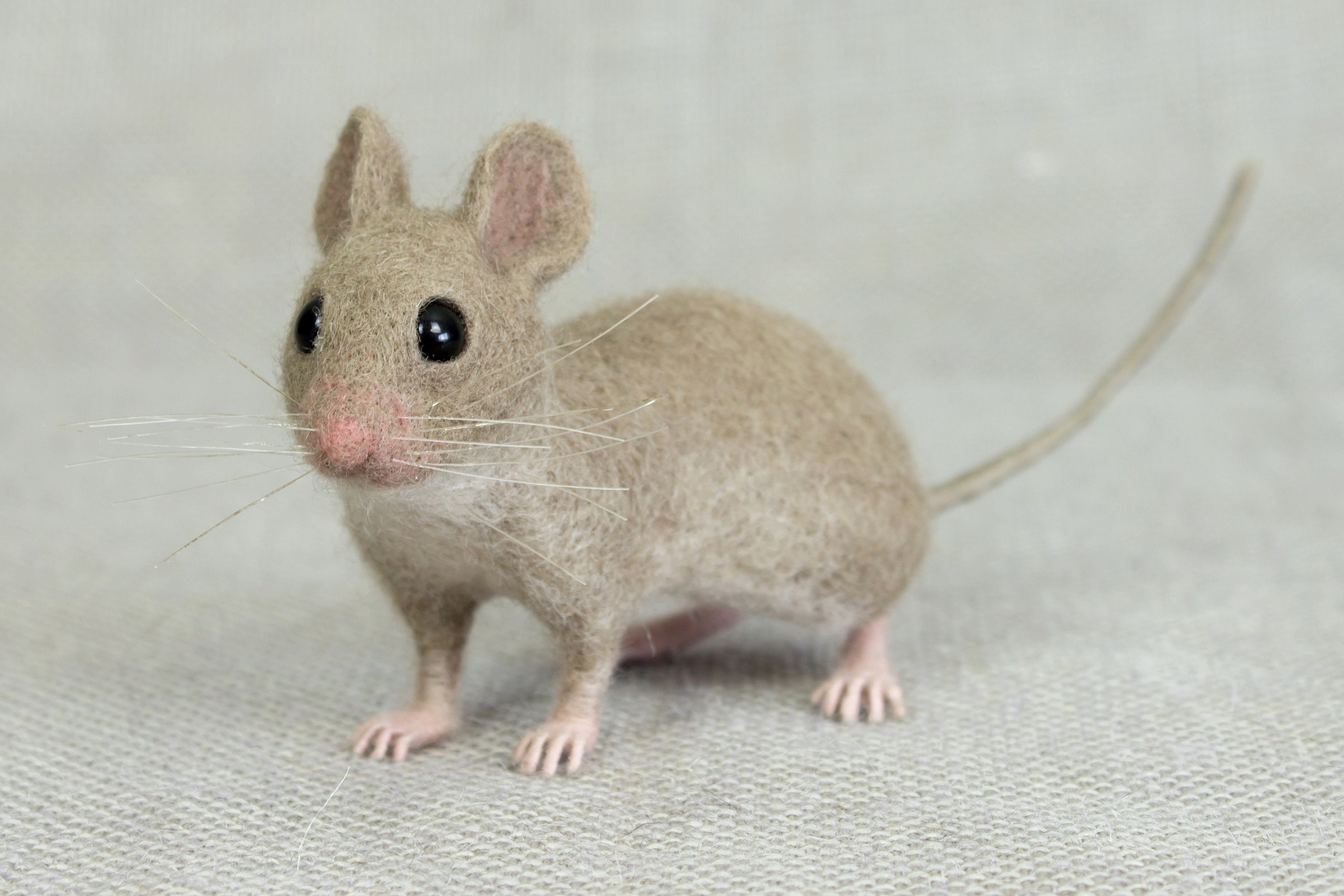 Needle Felting Tutorial Download Mouse Etsy Australia