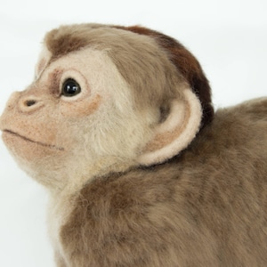 Made to Order Life-Sized Needle Felted Capuchin Monkey: Custom needle felted animal sculpture