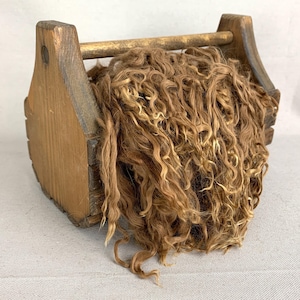 Washed Dark Fawn Suri Alpaca Locks: 1 ounce (Paola’s Cria) Fiber for Felting, Spinning or Doll Hair