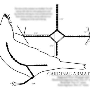 Guide de l&#39;armature : Cardinal