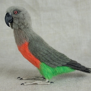 Made to Order Needle Felted Conure Parrot: Custom needle felted animal sculpture