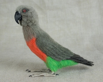 Made to Order Needle Felted Conure Parrot: Custom needle felted animal sculpture