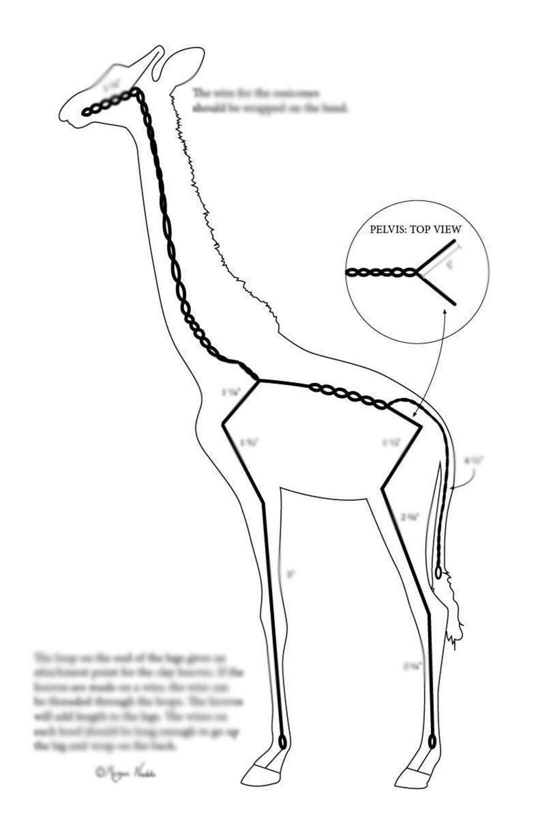 Armature Guide: Dogs 