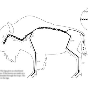 May include: Line drawing of a bison with measurements in inches showing the location of the different cuts of meat. The image also includes a diagram of the pelvis from a top view.
