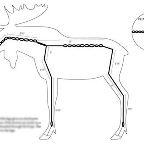 Armature Guide Wolf Etsy