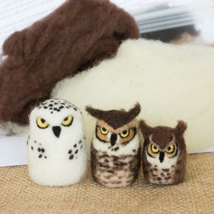 Needle Felted Owls Kit