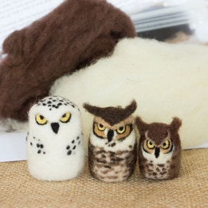 Needle Felted Owls Kit