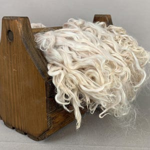 1 oz Washed Beige Suri Alpaca Locks: (Amelia) Fiber for Felting, Spinning or Doll Hair