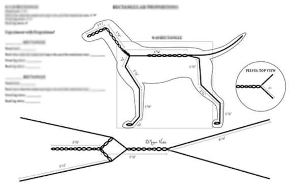 Armature Guide: Dogs 