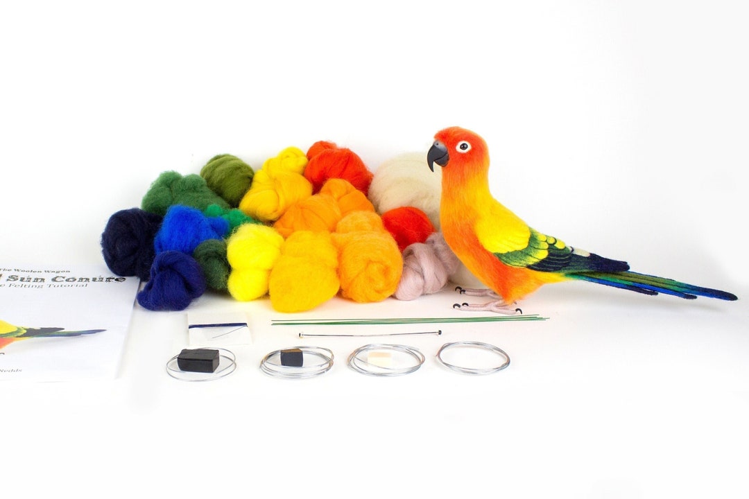 Needle Felted Sun Conure Kit and Tutorial - Etsy