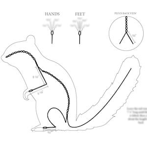 Puede incluir: Dibujo de línea de una ardilla con medidas para un patrón de costura. El dibujo muestra las manos, los pies y la pelvis de la ardilla.