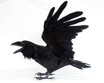 READY TO SHIP Diablo the Raven: Needle felted animal sculpture