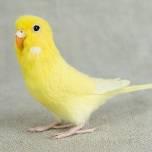 Made to Order Needle Felted Budgie: Custom needle felted animal sculpture