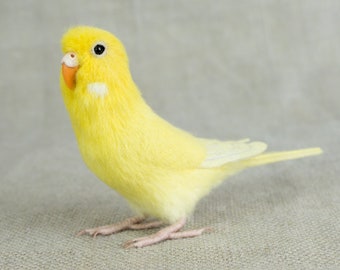 Made to Order Needle Felted Budgie: Custom needle felted animal sculpture