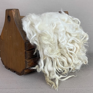 1 oz Washed White Suri Alpaca Locks: (Sloopy Girl) Fiber for Felting, Spinning or Doll Hair