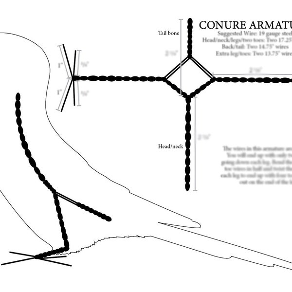 Armature Guide: Conure