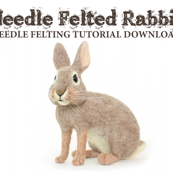 Needle Felting Tutorial Download: Rabbit