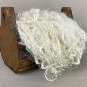 1 oz Washed White Suri Alpaca Locks: (Jude) Fiber for Felting, Spinning or Doll Hair