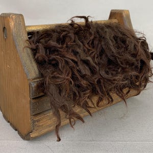 Washed Brown Suri Alpaca Locks: 1 ounce (Killian) Fiber for Felting, Spinning or Doll Hair