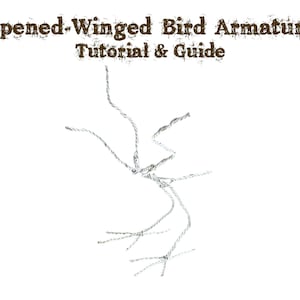 Armature Tutorial & Guide: Open Winged Bird