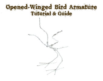 Armature Tutorial & Guide: Open Winged Bird
