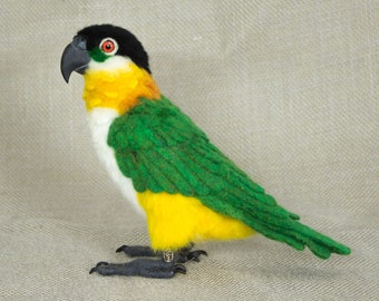 Made to Order Needle Felted Caique Parrot: Custom needle felted animal sculpture