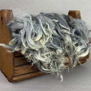 1 oz Washed Gray Suri Alpaca Locks (Jackson) Fiber for Felting, Spinning or Doll Hair