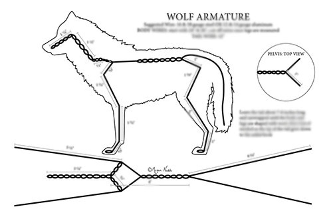 Armature Guide Wolf Etsy