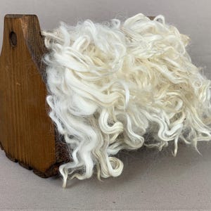 1 oz Washed White Suri Alpaca Locks: (Diabla) Fiber for Felting, Spinning or Doll Hair