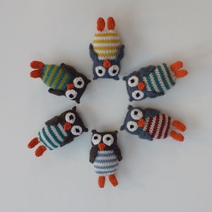 May include: Six knitted owl toys arranged in a circle. The owls are all different colours and patterns, including yellow, green, blue, red, and white. Each owl has orange felt feet and black eyes.