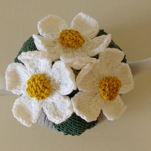 Knitting Pattern for Daisies Tea Cosy image 2