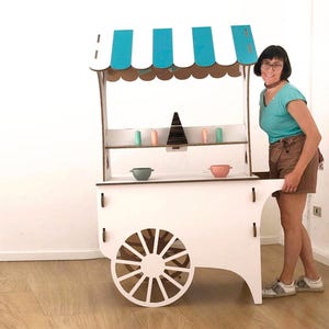 Portable pop-up shop display cart for retail - Organized Vendor Setup