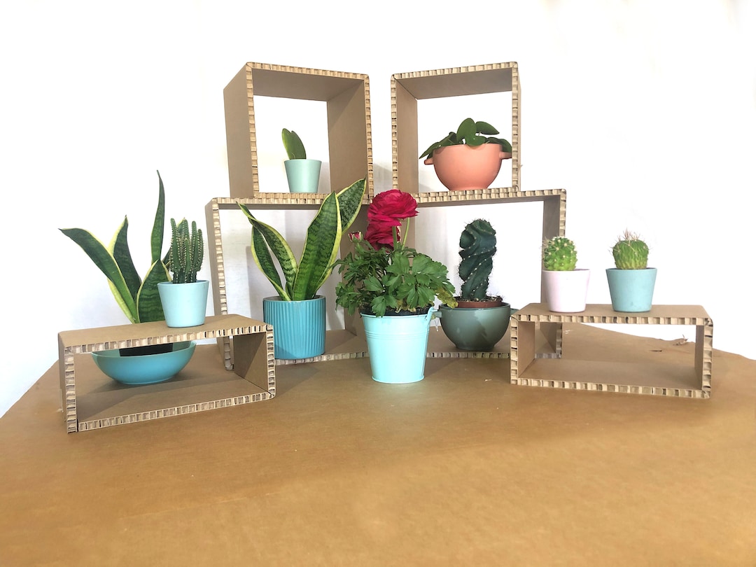 Display Riser Cardboard Shelf Table Riser Product Displays Etsy