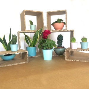 Prateleiras de exibição de cubos de papelão para vitrines, expositores de mesa para mercados, conjunto de design sustentável de 6