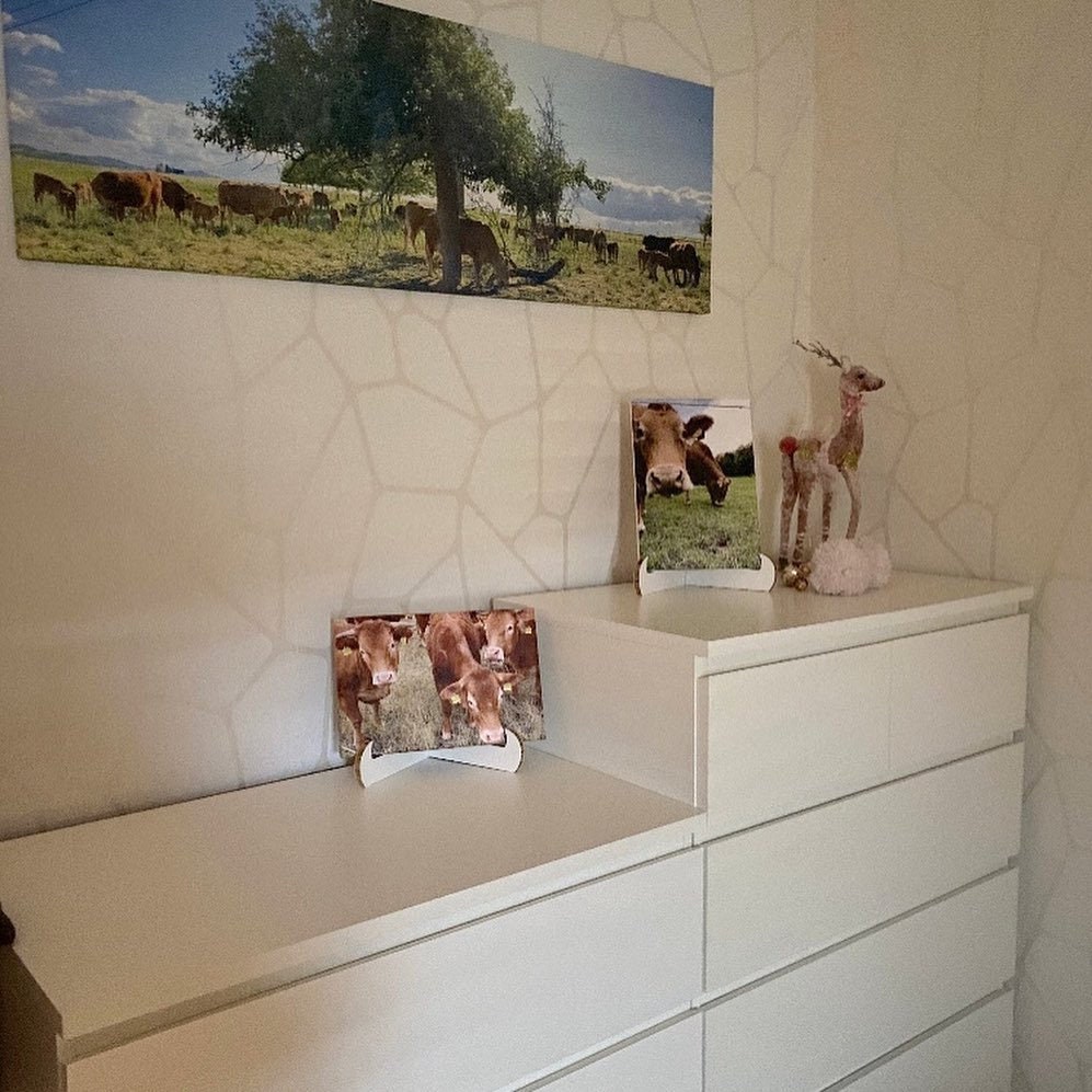 Support à Assiettes/cadres En Fer Doré - Présentoir élégant Pour Décorer Table Ou étagère