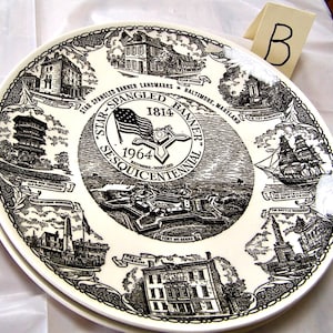 Plato de transferencia negra de la bandera estadounidense de 1964