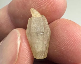 Natural Sapphire Crystal 10.72ct.  Raw untreated