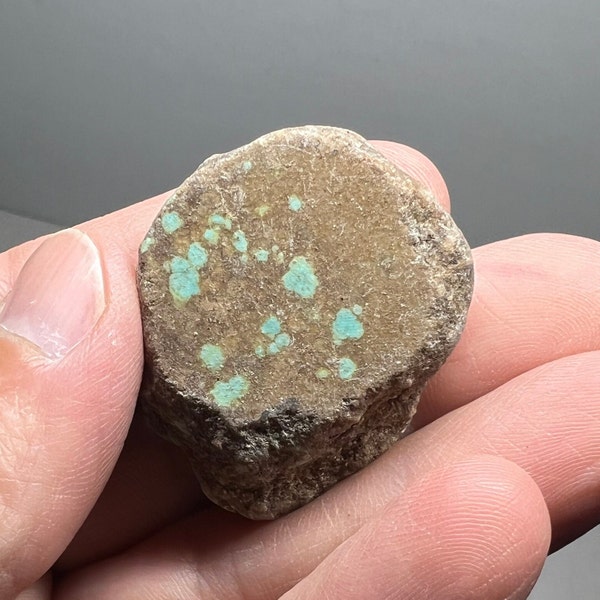 Number 8 Mine Turquoise raw / rough 22 grams