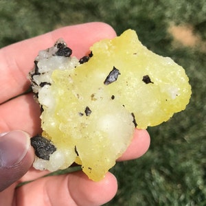 May include: A yellow and white mineral specimen with black inclusions. The specimen has a rough, textured surface.