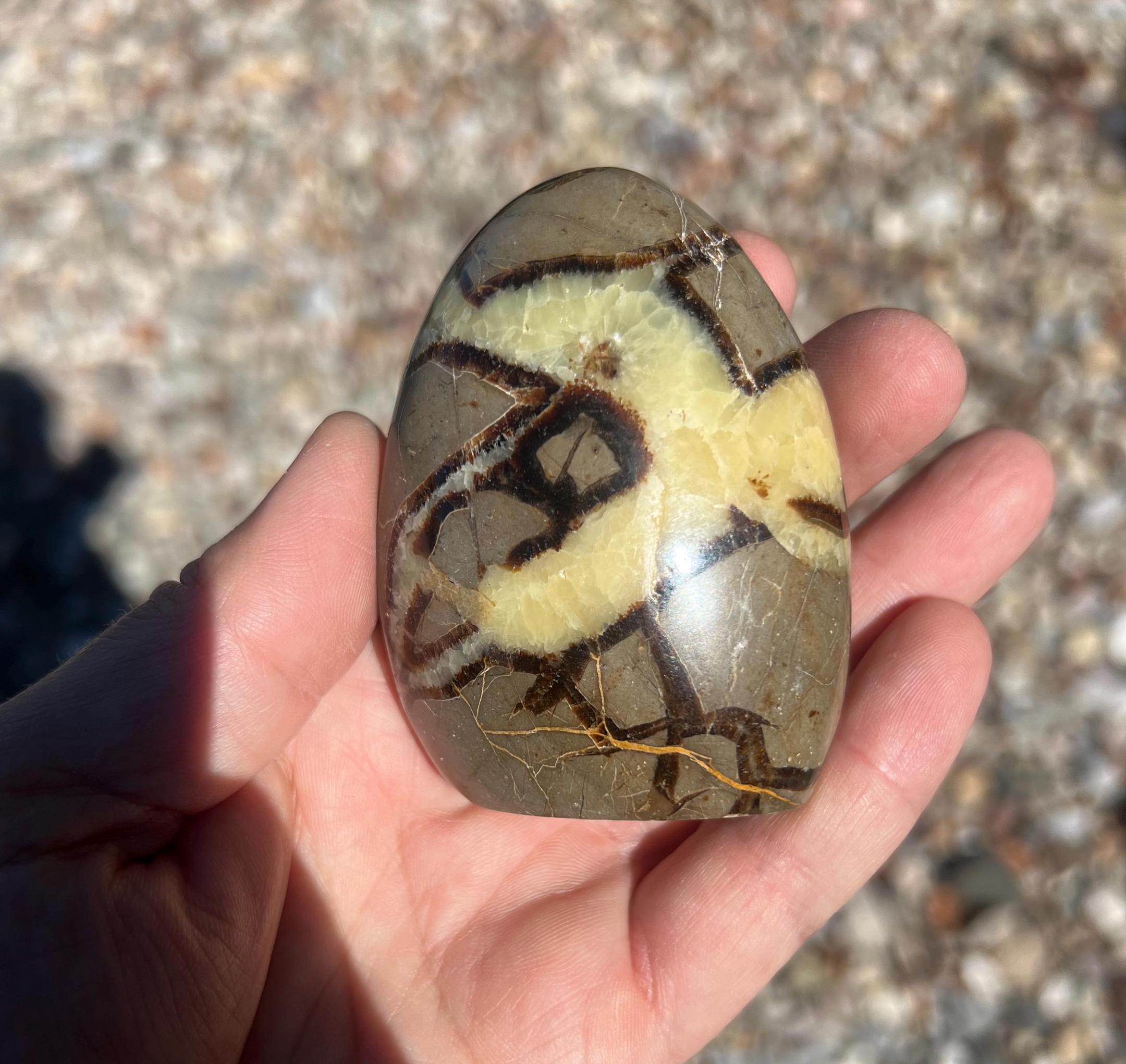 セプタリアン・フリーフォーム：マダガスカルクリスタル（3.0インチ x