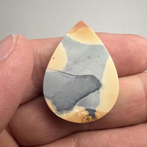 May include: A teardrop-shaped cabochon of polished stone with a swirling pattern of gray, white, and tan.