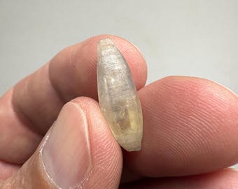 Natuurlijk saffierkristal 8,35 kt