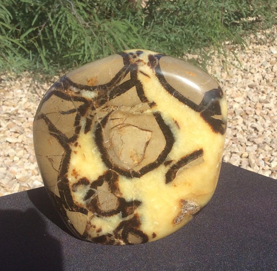 Septarian Dragon Stone Standing Freeform