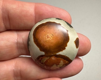 Polychrome Jasper Cabochon / Flatback