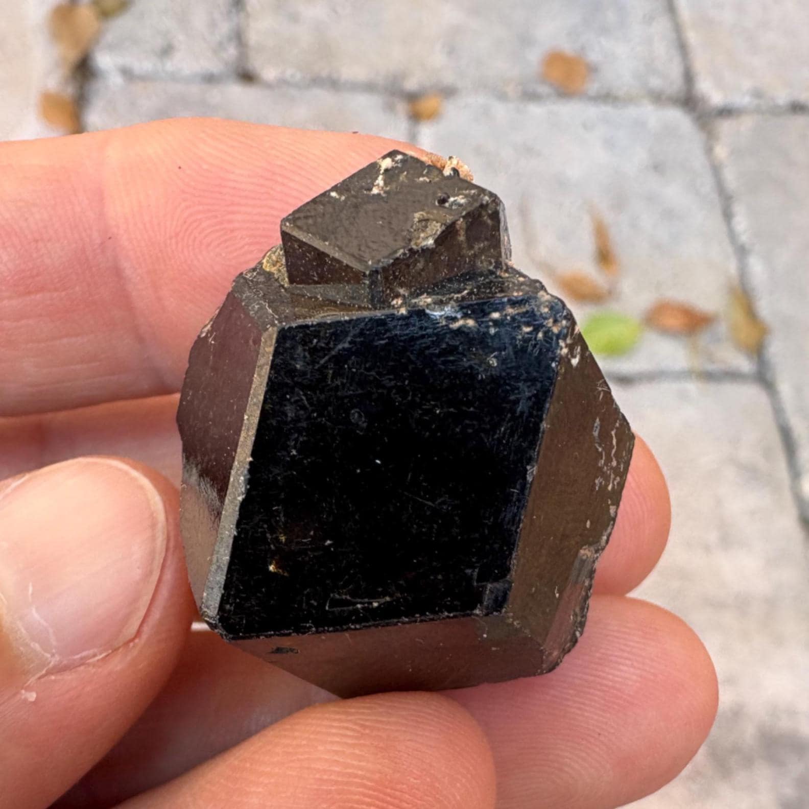 超珍品！輝く黒いガーネット標本/メラナイト/アンドラダイト 超珍品！輝く黒いガーネット標本/メラナイト/アンドラダイト