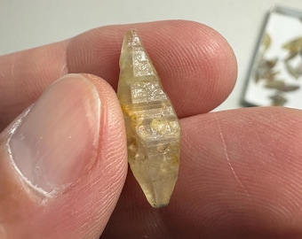 May include: A small, translucent, pale yellow crystal with a pointed, elongated, double-terminated shape. The surface features distinct geometric facets and horizontal striations, with internal inclusions visible throughout the mineral structure.