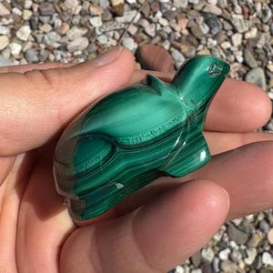 Talla de tortuga de malaquita