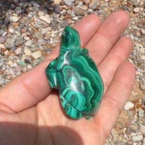 Tortuga de malaquita