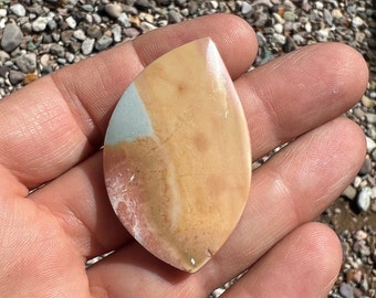 Polychrome Jasper Stone - Madagascar - (50mm x 32mm x 9mm)