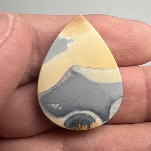 May include: A teardrop-shaped cabochon of polished stone with a swirling pattern of gray, white, and yellow.